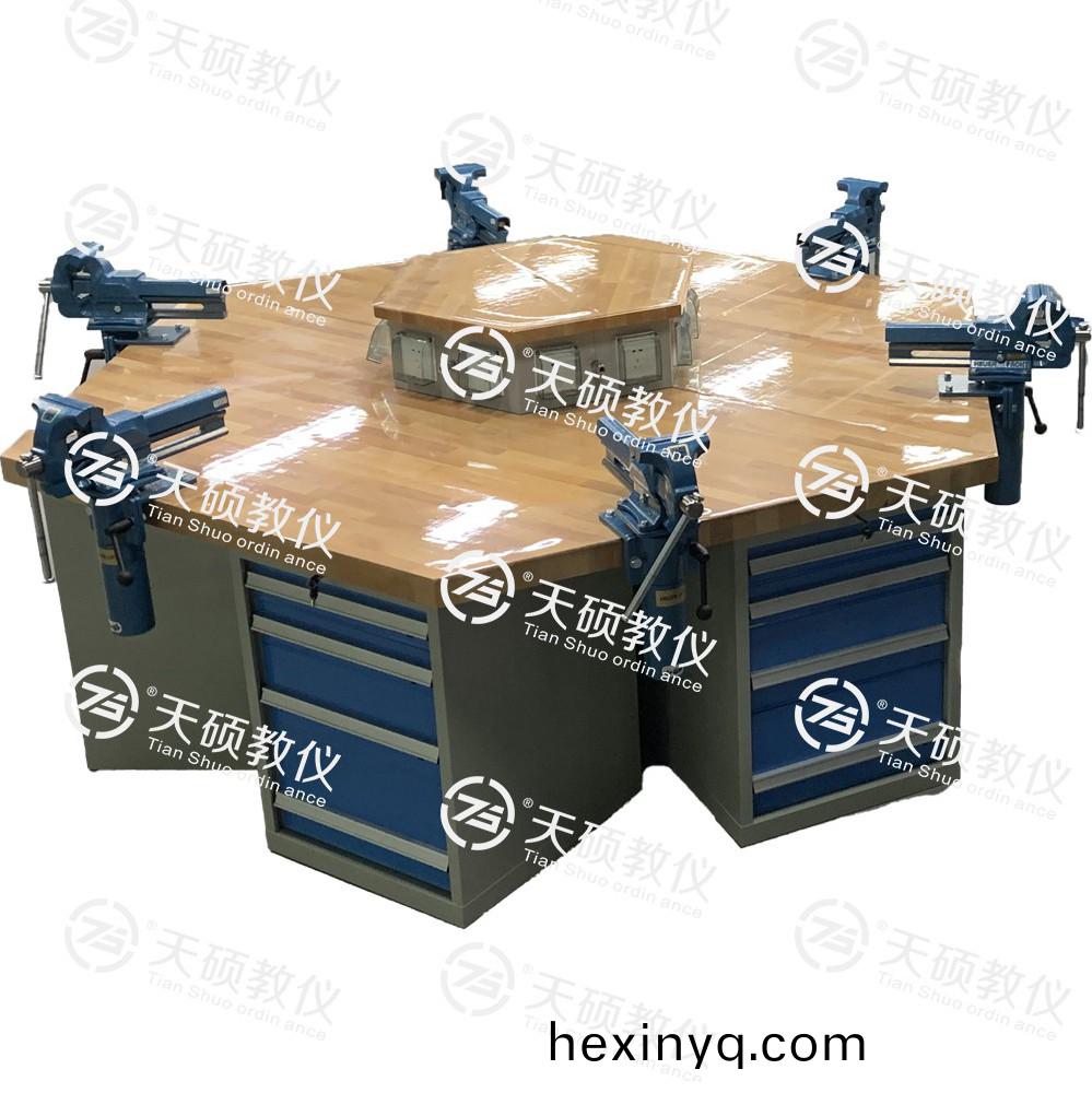 TSBTQG-3型 鉗工技能(neng)實訓平檯（六角六工位）